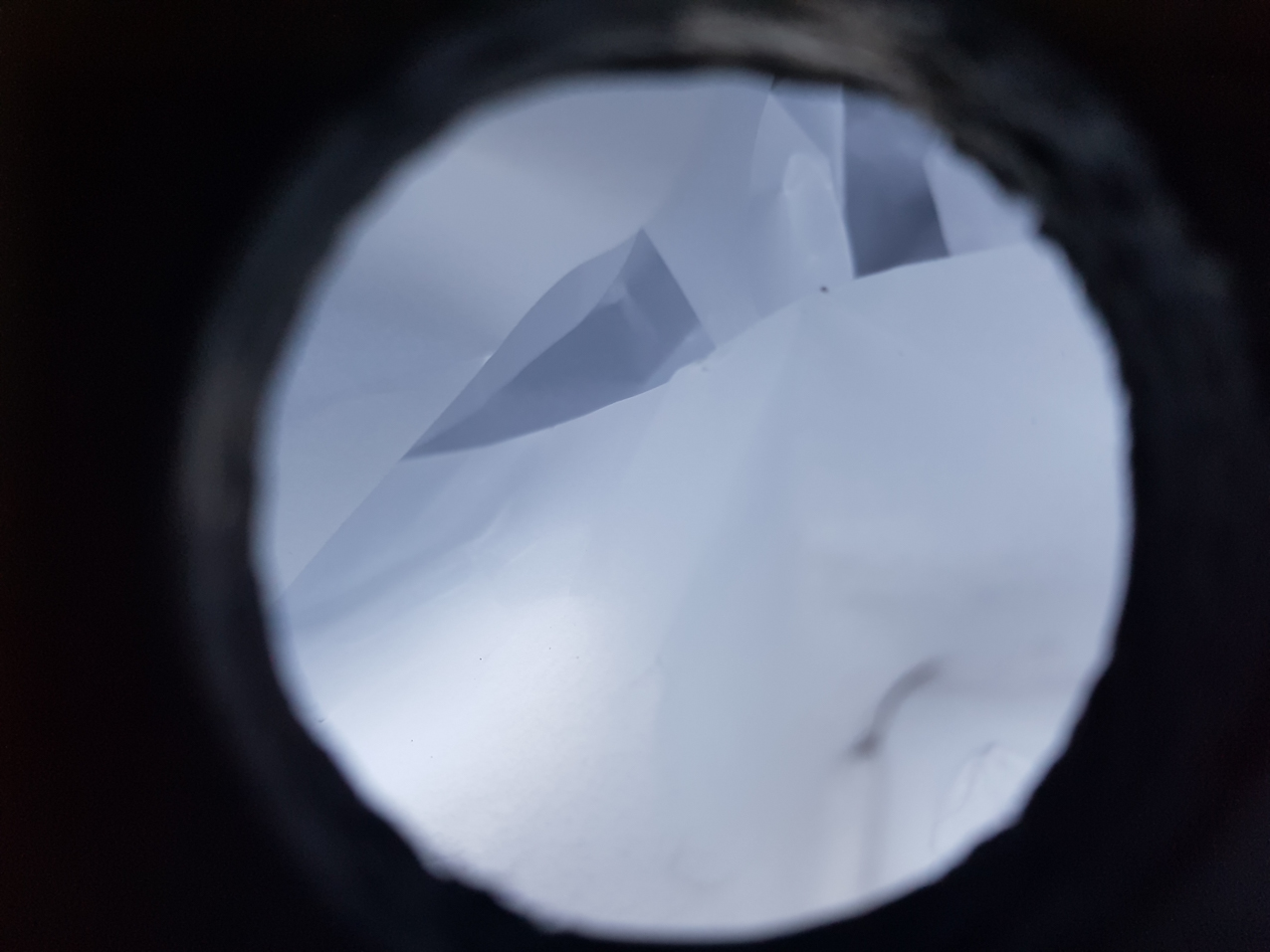 Paisajes encerrados. Detalles (18)