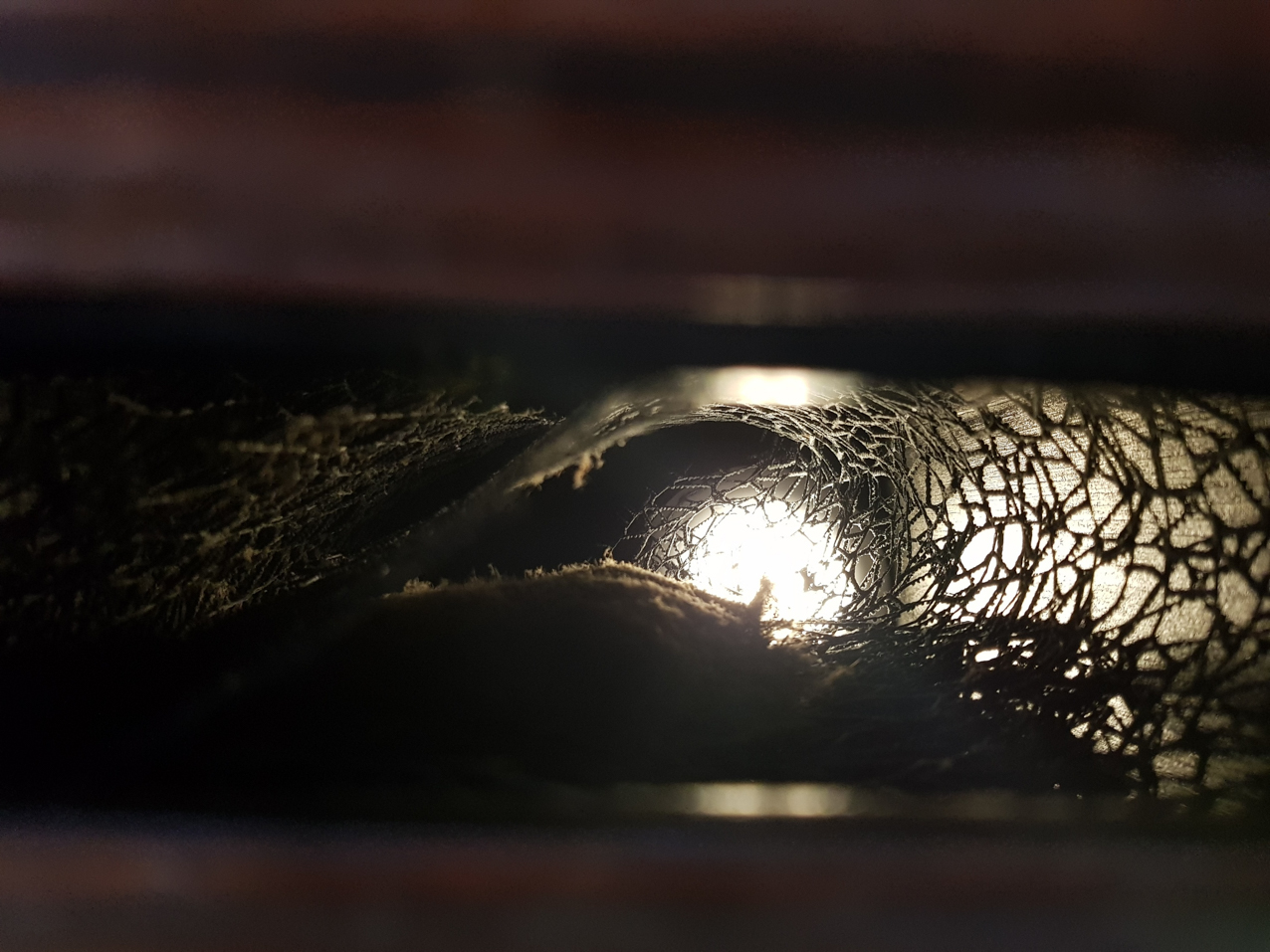 Paisajes encerrados. Detalles (4)