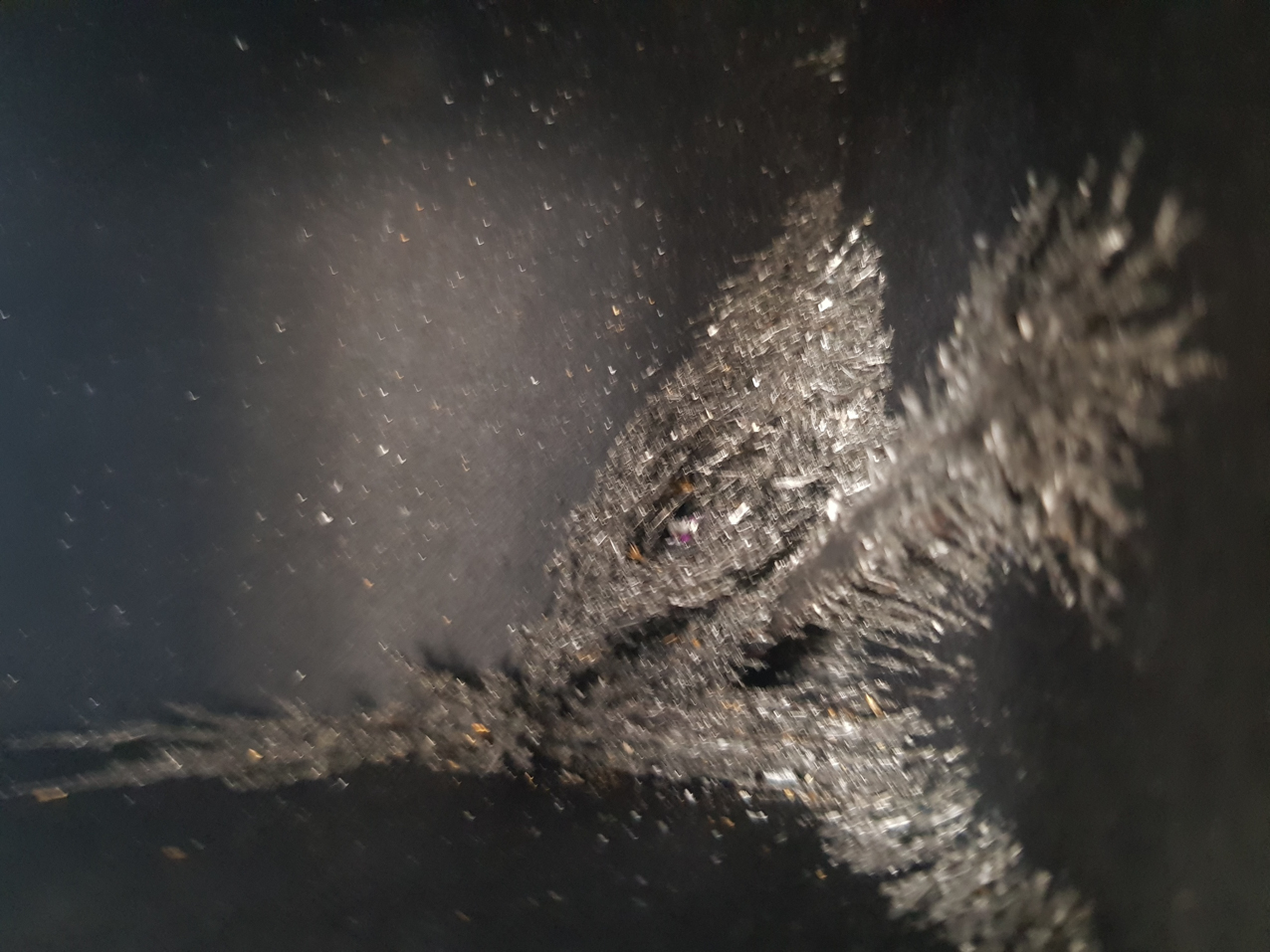 Paisajes encerrados. Detalles (6)