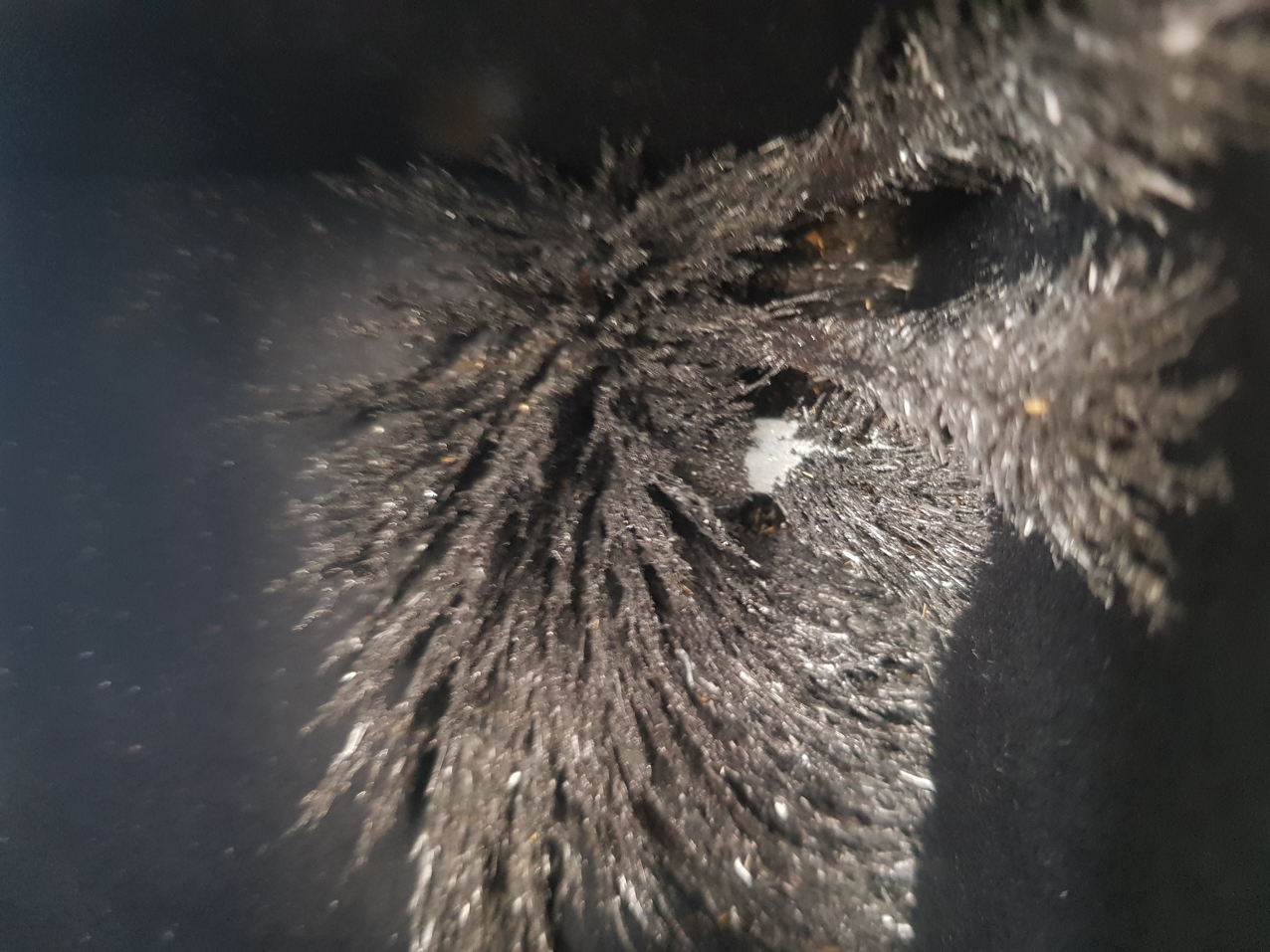 Paisajes encerrados. Detalles (7)