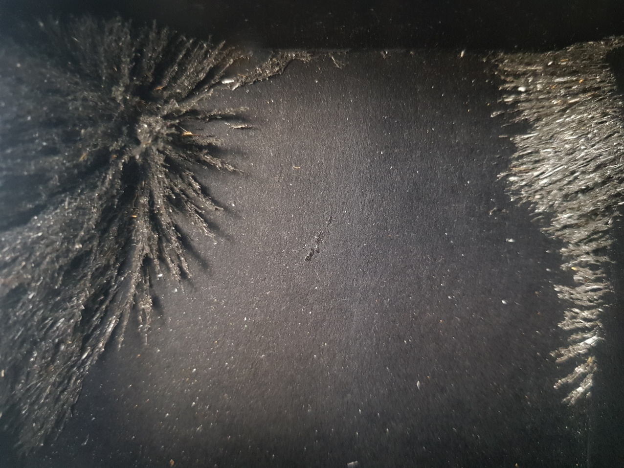 Paisajes encerrados. Detalles (8)