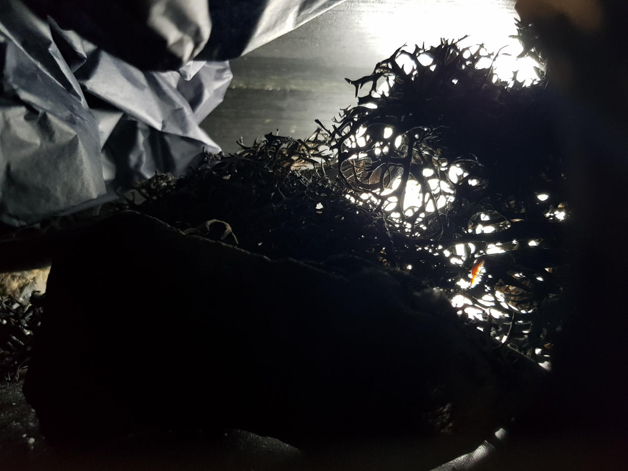 Paisajes encerrados. Detalles (9)