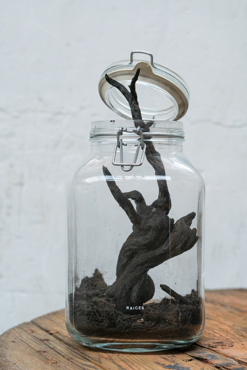 Raíces. 2020. Objeto. 28x14cm