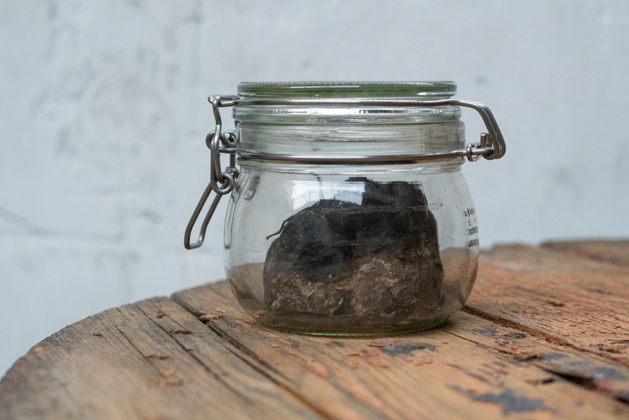 Resiliencia. 2020. 9x12cm