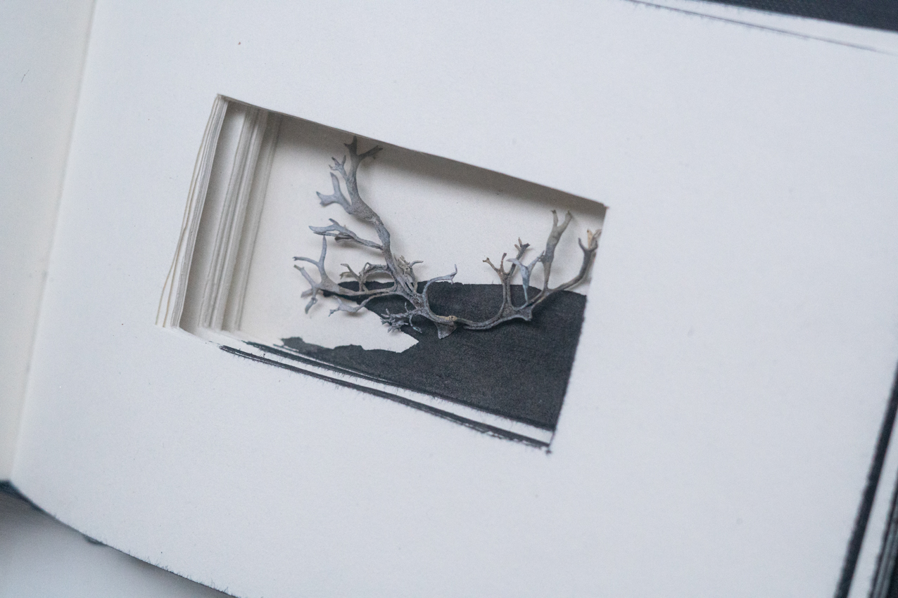 Sounded notebook. 2020. Cuadernos y app. 58x40cm y 43x15cm (2)