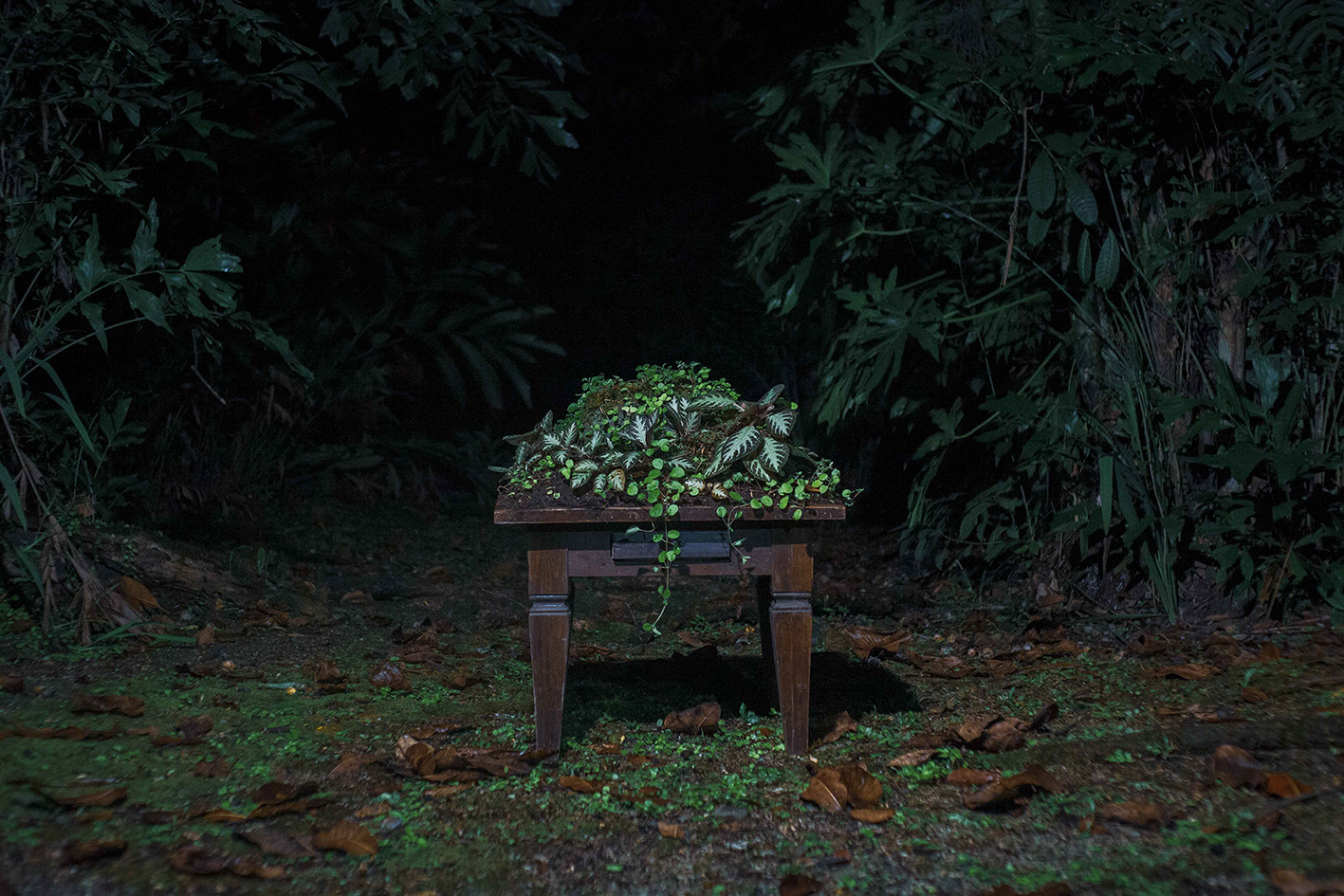 Documentación del proceso creativo (1)