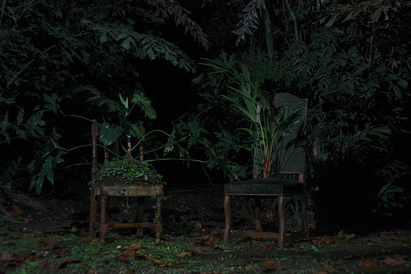 Documentación del proceso creativo (4)