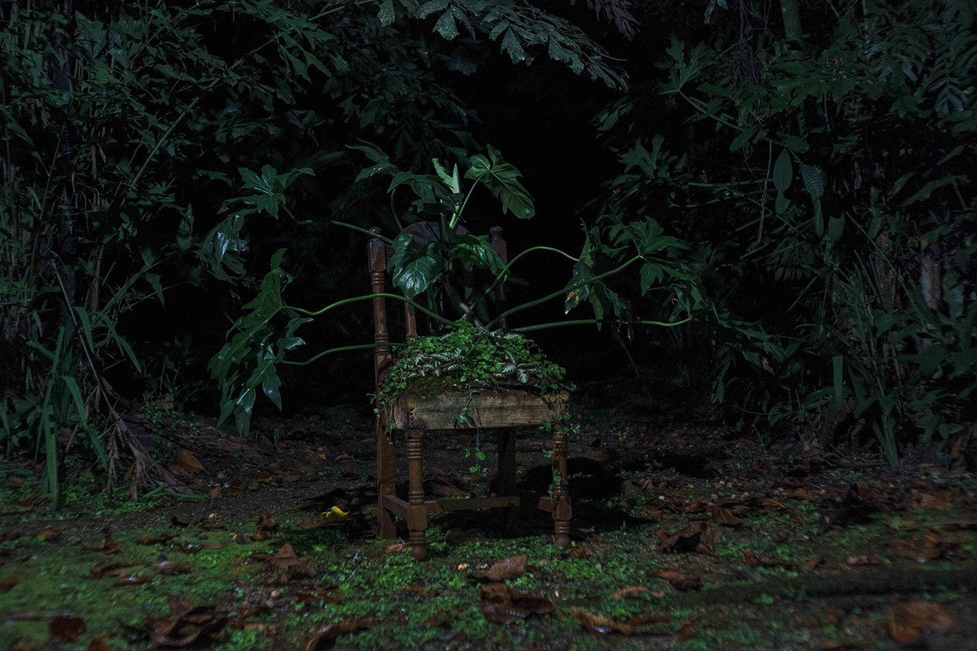 Documentación del proceso creativo (5)