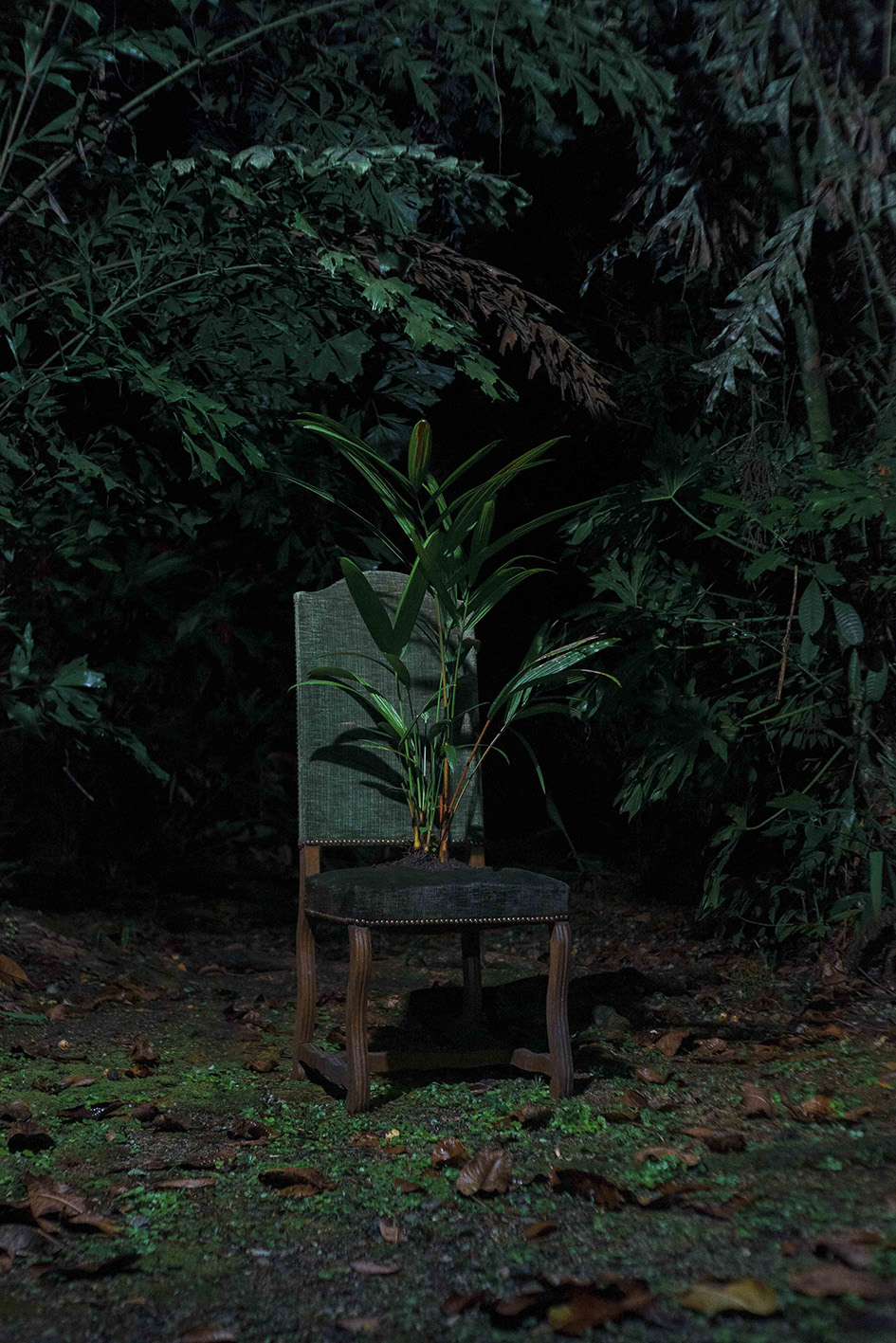 Documentación del proceso creativo (6)