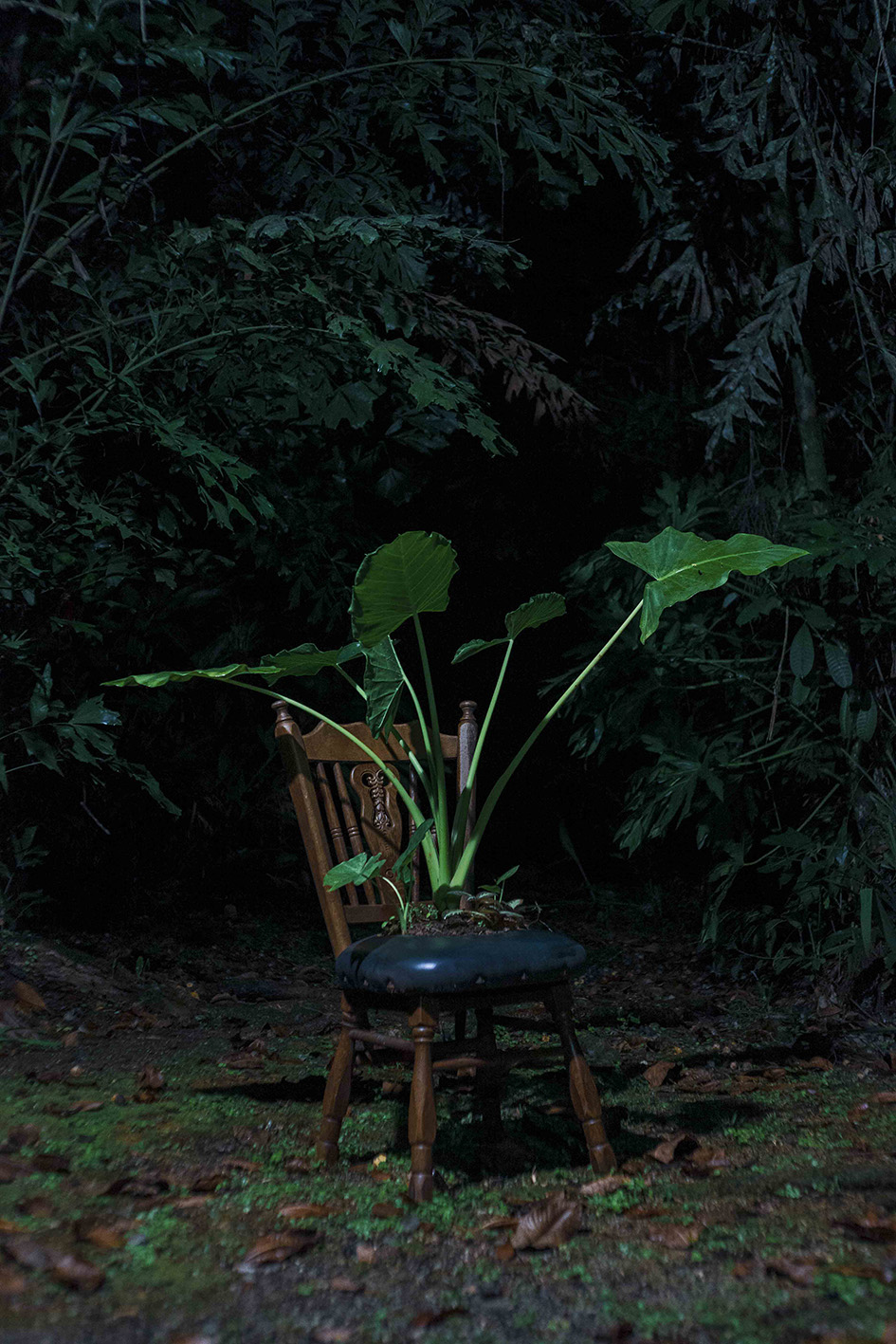 Documentación del proceso creativo (7)