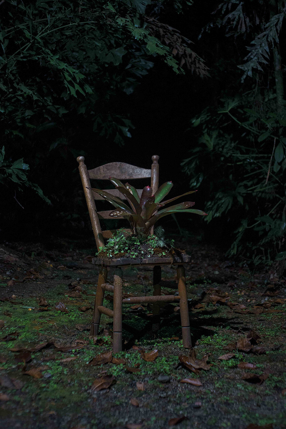 Documentación del proceso creativo (8)