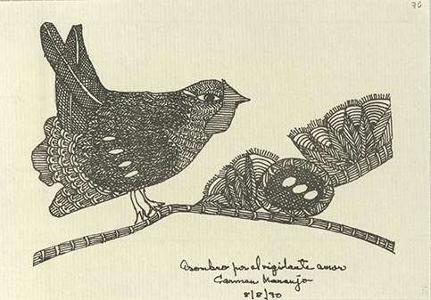 Asombro por el vigilante amor