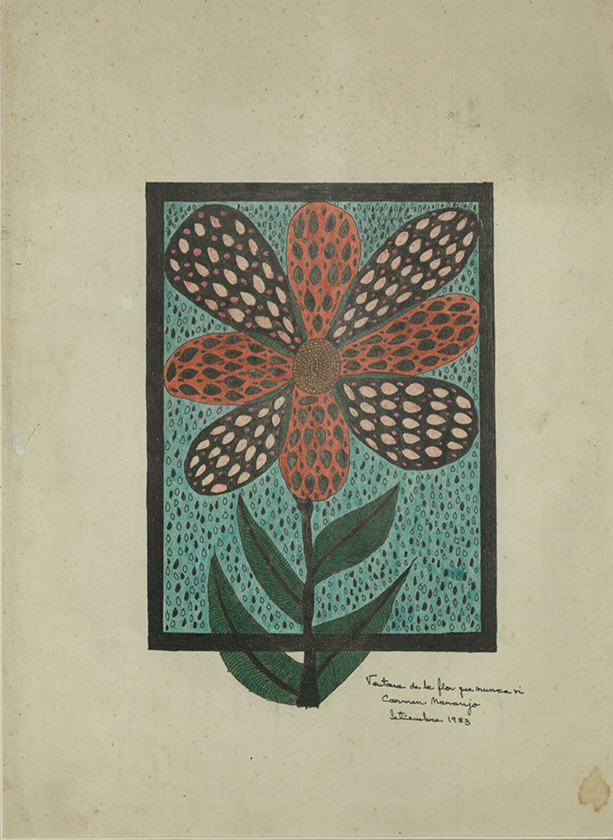 Ventana de la flor que nunca vi