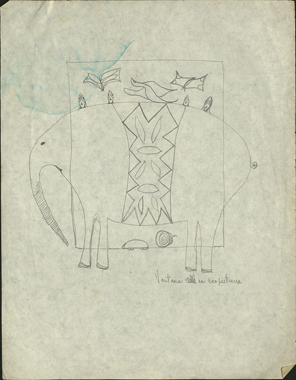 Ventana de un ecosistema