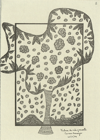 Ventana de vida y muerte