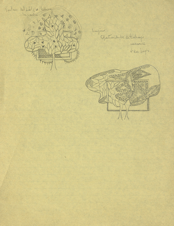 Ventana del árbol que ilumina la noche