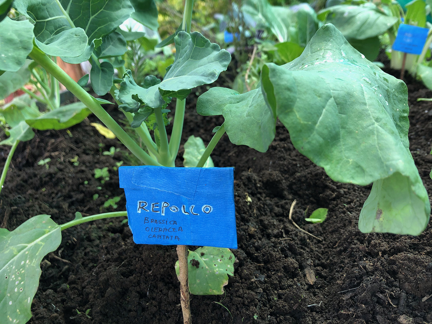 Semana 3. Poner nombre (1)