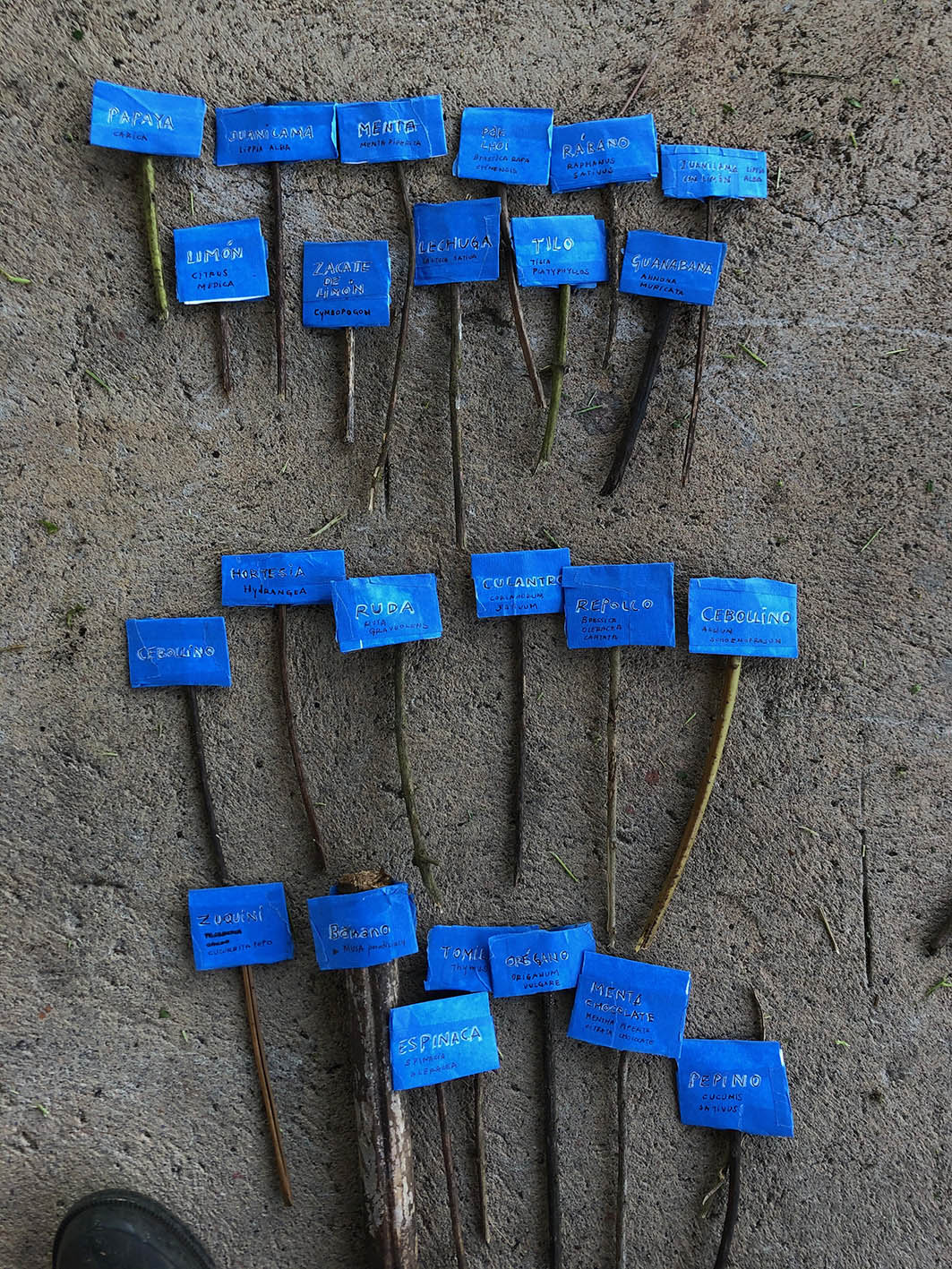 Semana 3. Poner nombre (3)