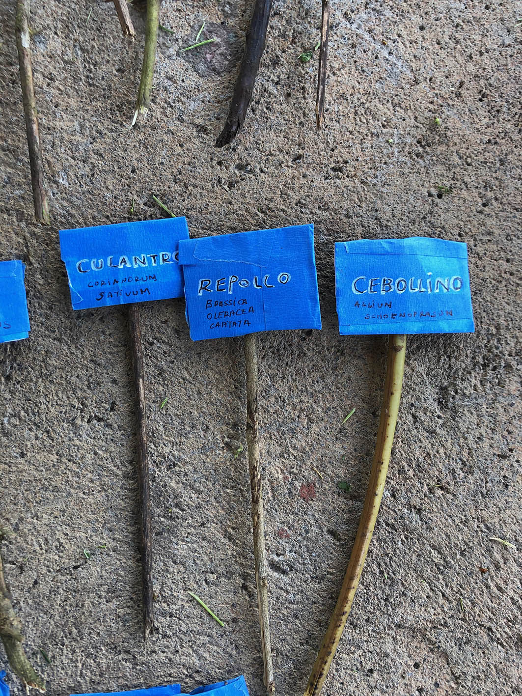 Semana 3. Poner nombre (4)