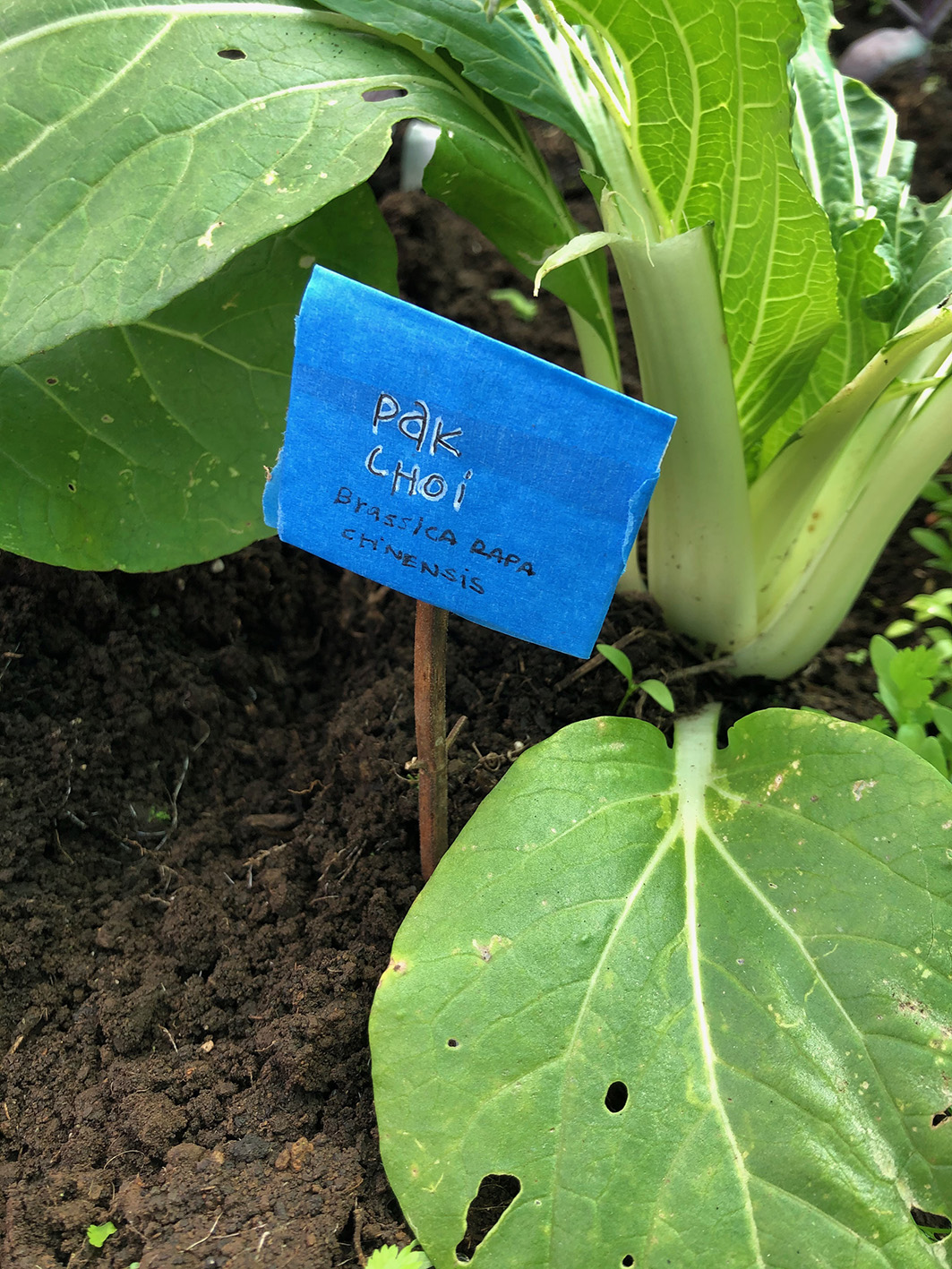 Semana 3. Poner nombre (6)