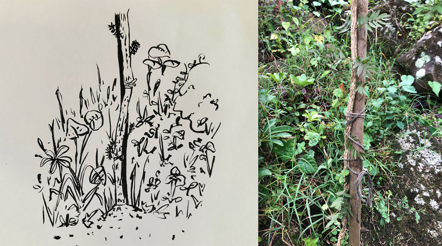 Traducción Aporcar