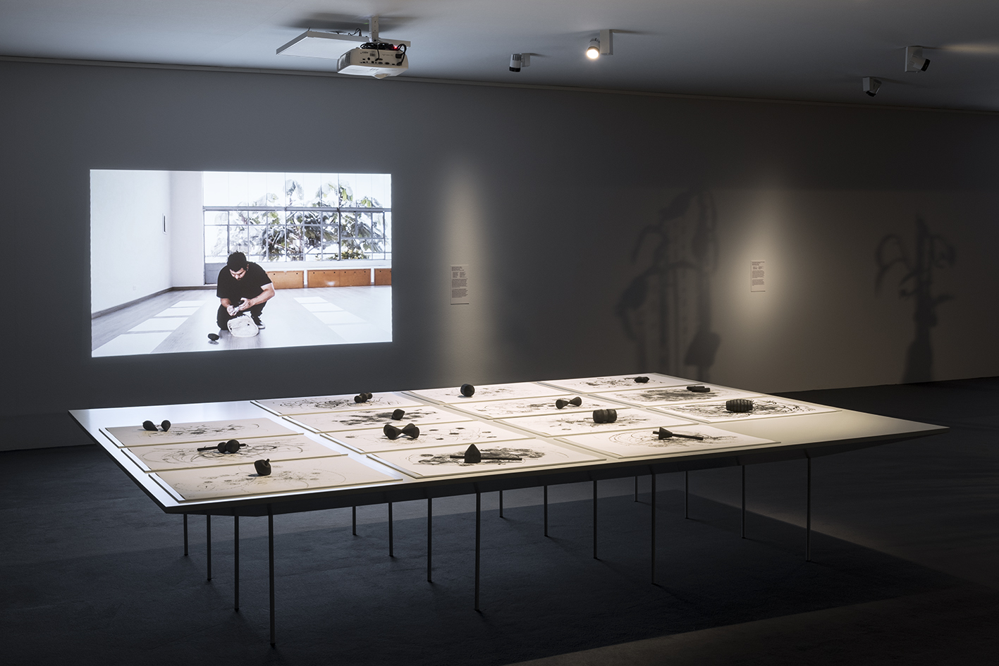 Christian Salablanca. 2020. La geometría del centro. Instalación. Video 14’; 14 esculturas de 18 x 18,5 cm c/u; 14 dibujos de 75 x 50 cm c/u. Thyssen Bornemisza Art Contemporary Collection. Encargado y producido por FLORA ars+natura and Thyssen-Bornemisza Art. Foto por Roberto Ruiz.