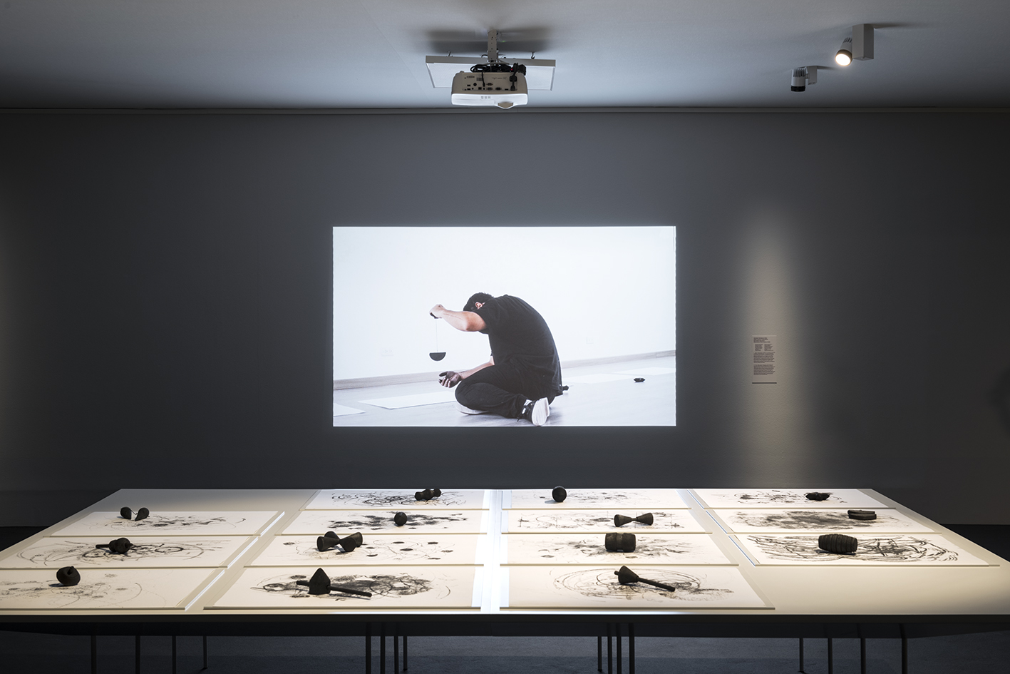 Christian Salablanca. 2020. La geometría del centro. Instalación. Video 14’; 14 esculturas de 18 x 18,5 cm c/u; 14 dibujos de 75 x 50 cm c/u. Thyssen Bornemisza Art Contemporary Collection. Encargado y producido por FLORA ars+natura and Thyssen-Bornemisza Art. Foto por Roberto Ruiz.