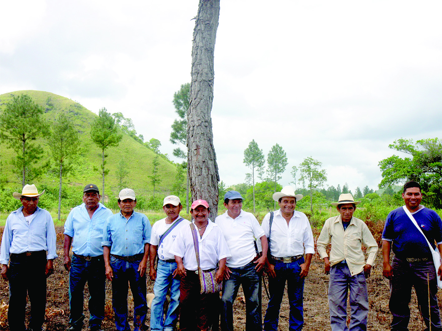 Estudio Torus. 2011. Popol Jay. Proceso (2)