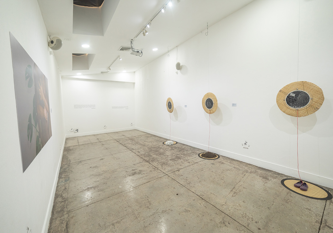 Panorámicas de la Sala Polivalente (4)