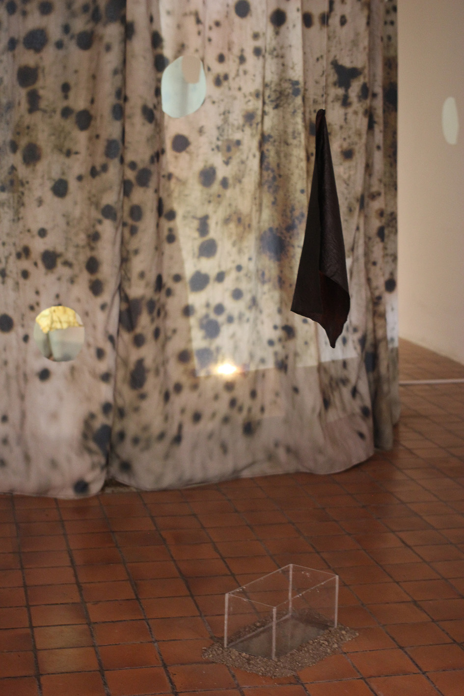 Ingrid Cordero y Sofía Ureña. 2021. Lo que no vemos crece de todas formas. Instalación (1)