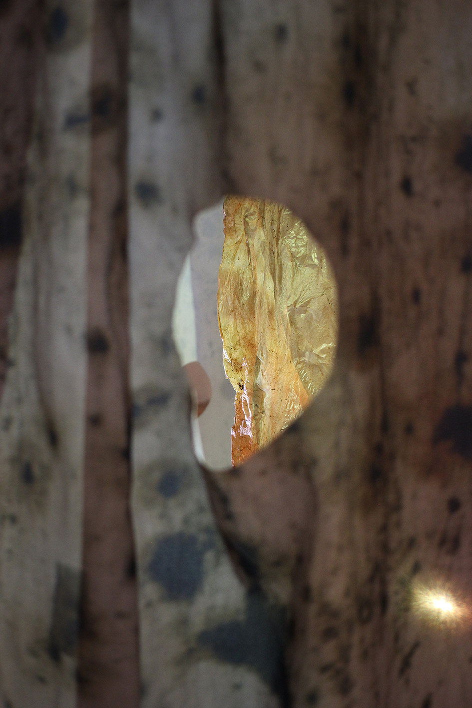 Ingrid Cordero y Sofía Ureña. 2021. Lo que no vemos crece de todas formas. Instalación (2)