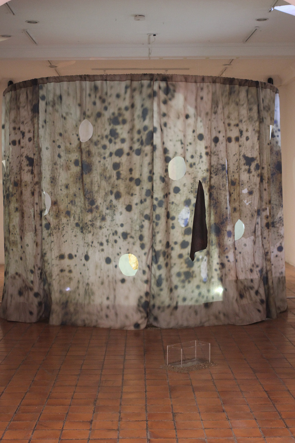 Ingrid Cordero y Sofía Ureña. 2021. Lo que no vemos crece de todas formas. Instalación (3)