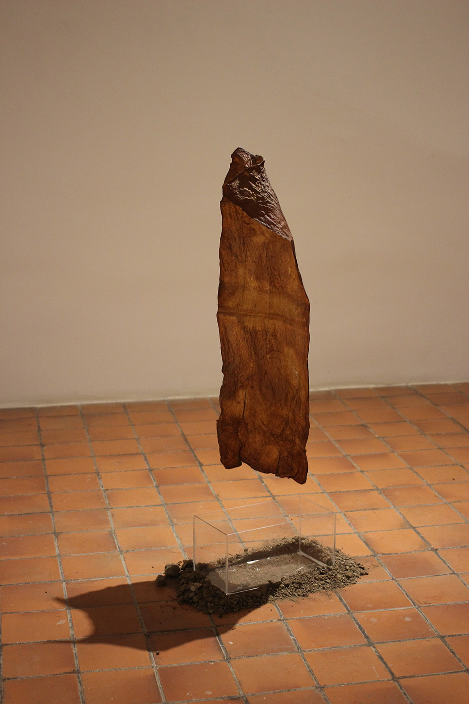 Ingrid Cordero y Sofía Ureña. 2021. Lo que no vemos crece de todas formas. Instalación (4)