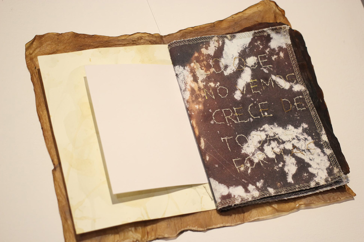 Ingrid Cordero y Sofía Ureña. 2021. Lo que no vemos crece de todas formas. Libro objeto