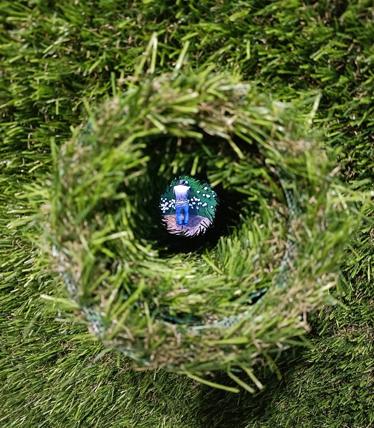 Cinthya Soto, Estudio de Revés, 2002 (De la serie Artificio- Natura, 2002). Detalle.