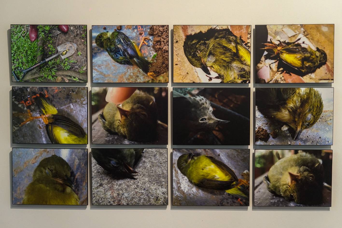 Elia Arce, Glass Ceiling (Techo de cristal), 2020