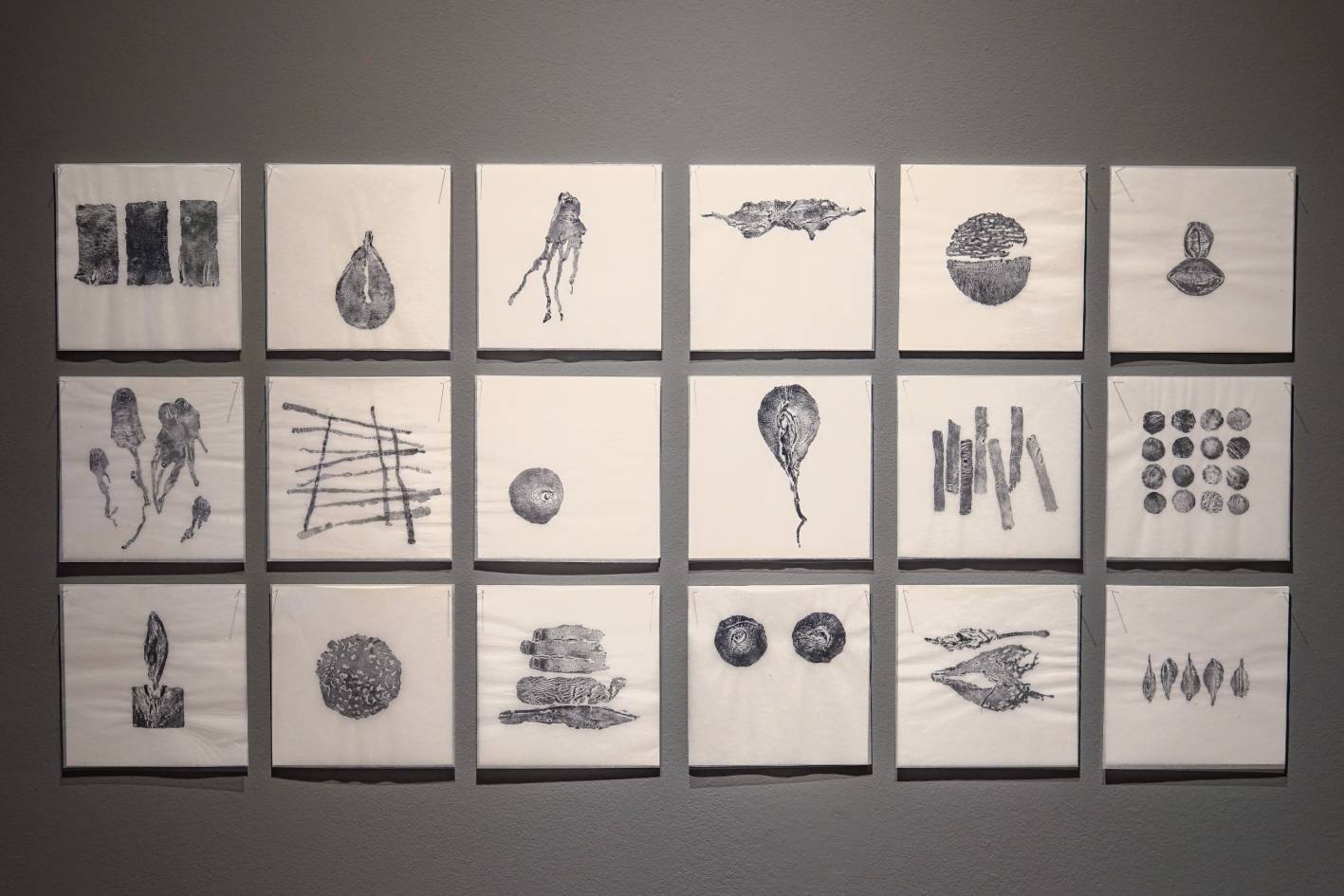 Priscilla Romero, Indicios, 2013-2019