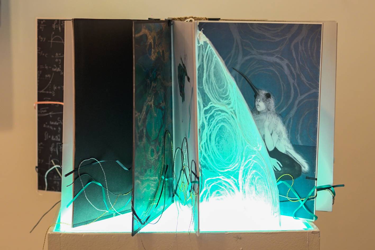 Roxana Brizuela, Autobiografía, 2019