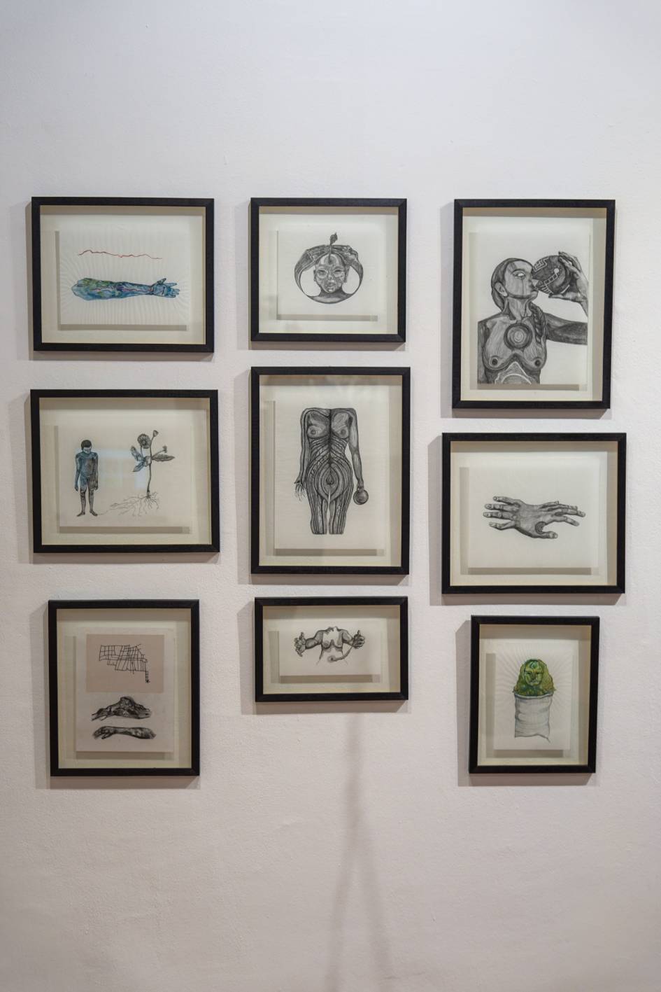 Verónica Navas, Serie: Efectos de la medicina botánica, 2022