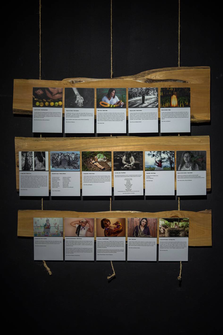 María José Bejarano Salazar, Desde Adentro, 2021