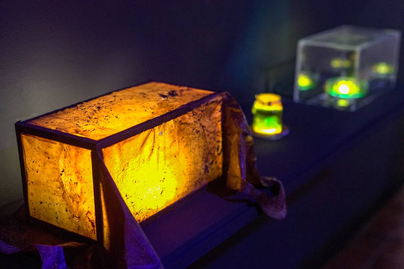 Sofía Ureña Lab, Esto que crece y crece, 2023