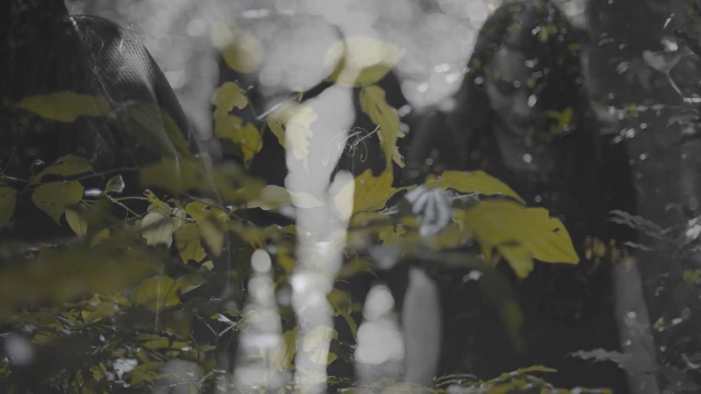 María José Bejarano Salazar, Desde Adentro, 2021