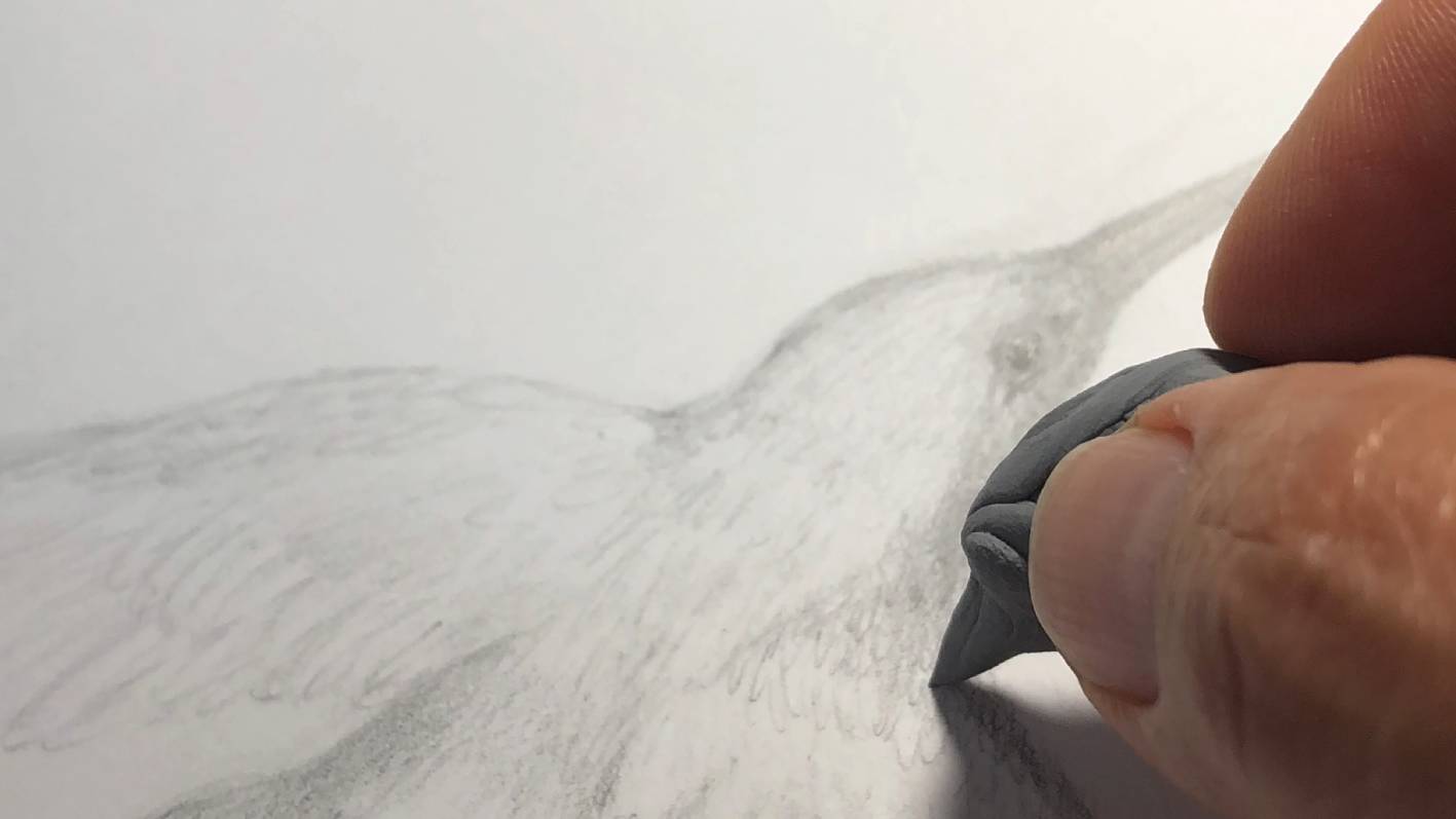 Roxana Brizuela, Autobiografía, 2019