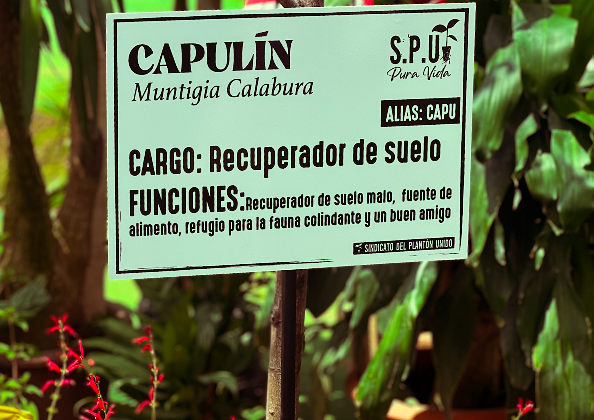 Parque Líbano - Ana Label (detalle)