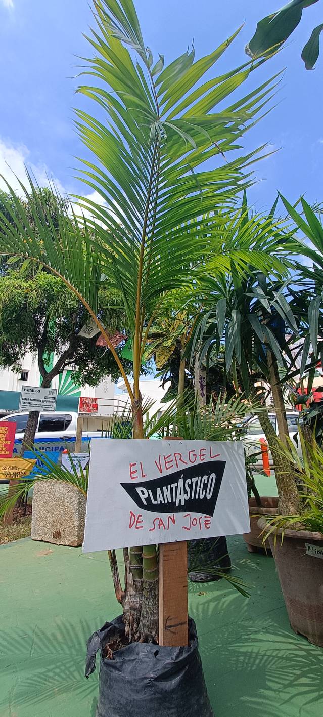 Parque Líbano - detalle