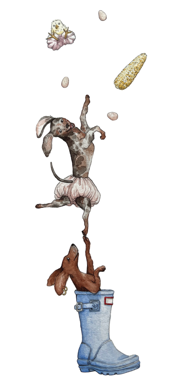 Ilustración de perros saltando