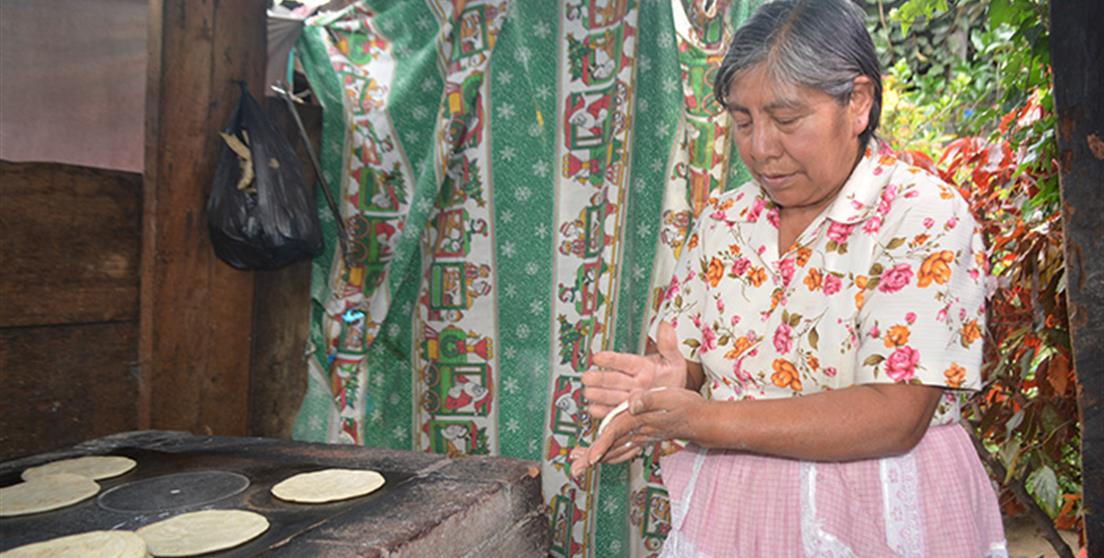 Frentes parlamentarios