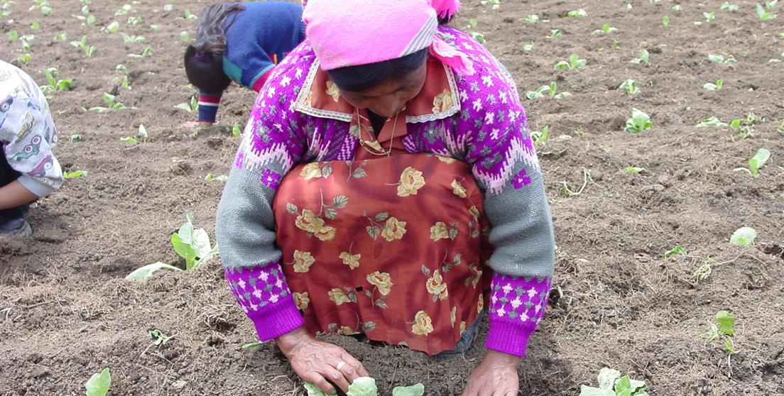 La Unión Europea y la Cooperación Española oficializan iniciativa valorada en 9.275.000\u20ac